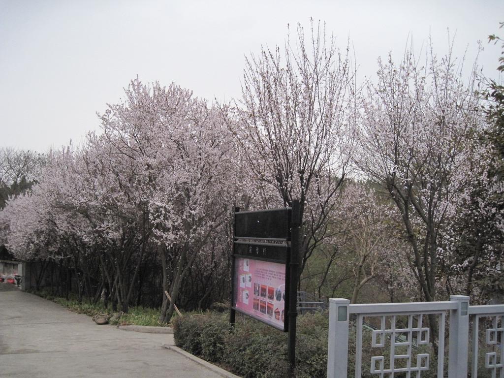 Fule Jiuzhou International Hotel Mianyang  Bagian luar foto